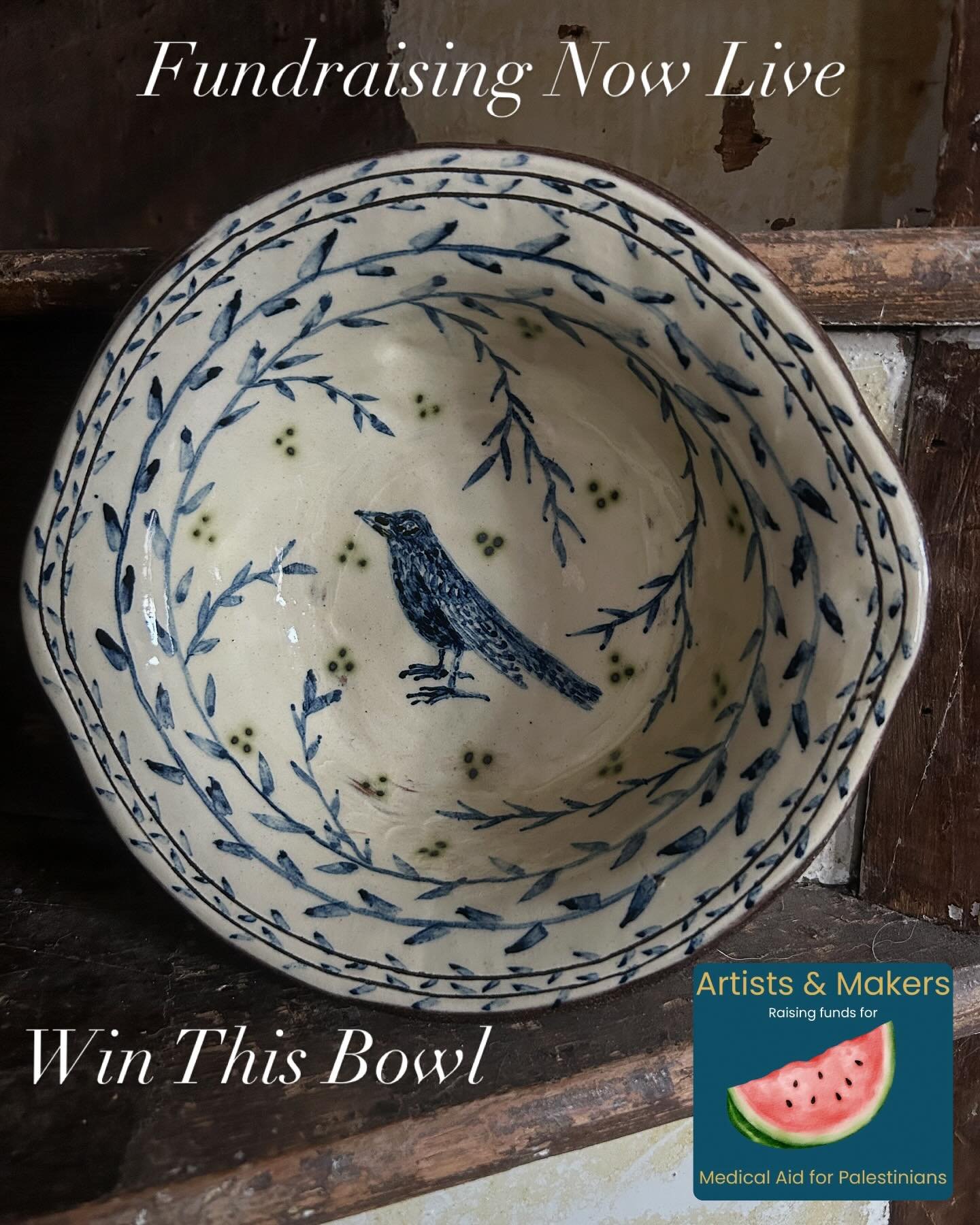 You could be in with a chance to win this blackbird bowl and donate to a good cause. Every £5 you donate gives you a chance to enter the prize draw. Only open to UK residents. Charity prize draw closes 1st July and winner picked on 2nd July. LI