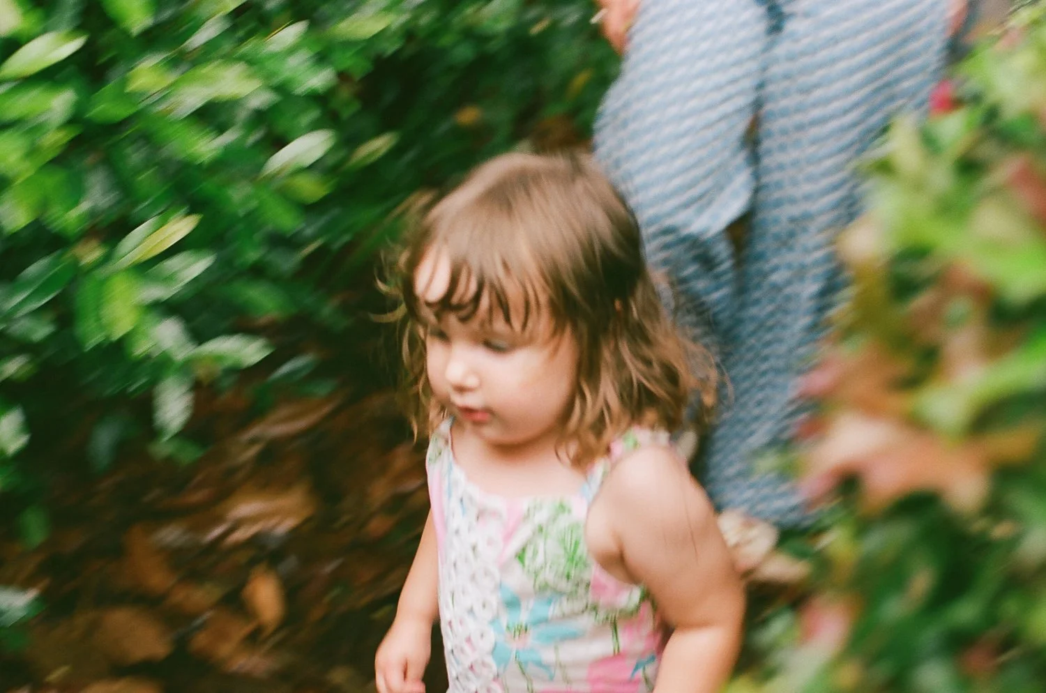 Tammie-Quintana---New-Orleans-Family-Photographer---New-Orleans-Film-Photographer---35mm-family-photography---creative-family-photography---Peacock-Eyes-.jpg