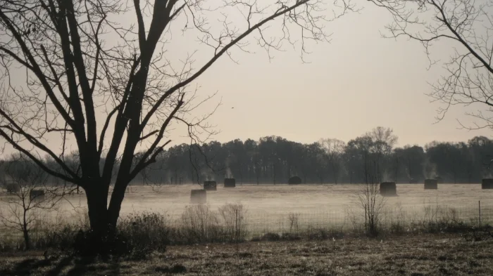  The Farm in Winter 