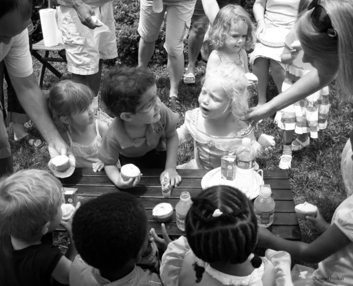 The Party