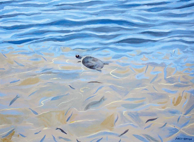 Pond Life (30x40)
