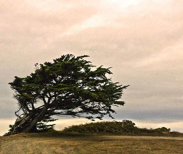 Table Bluff, Eureka