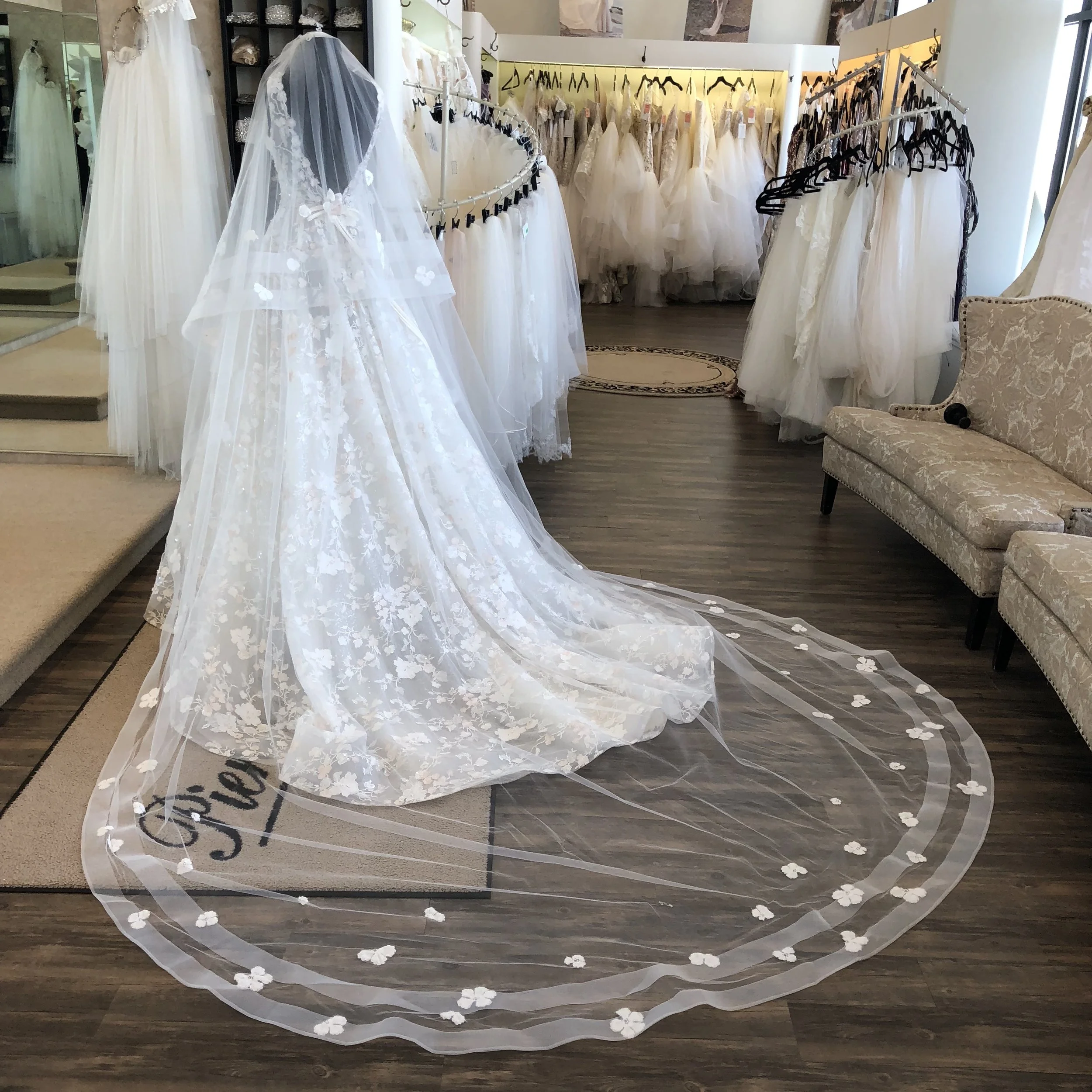 All about the VEIL!