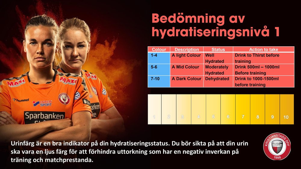 KDFF Away Tips Swedish Version_page-0004.jpg