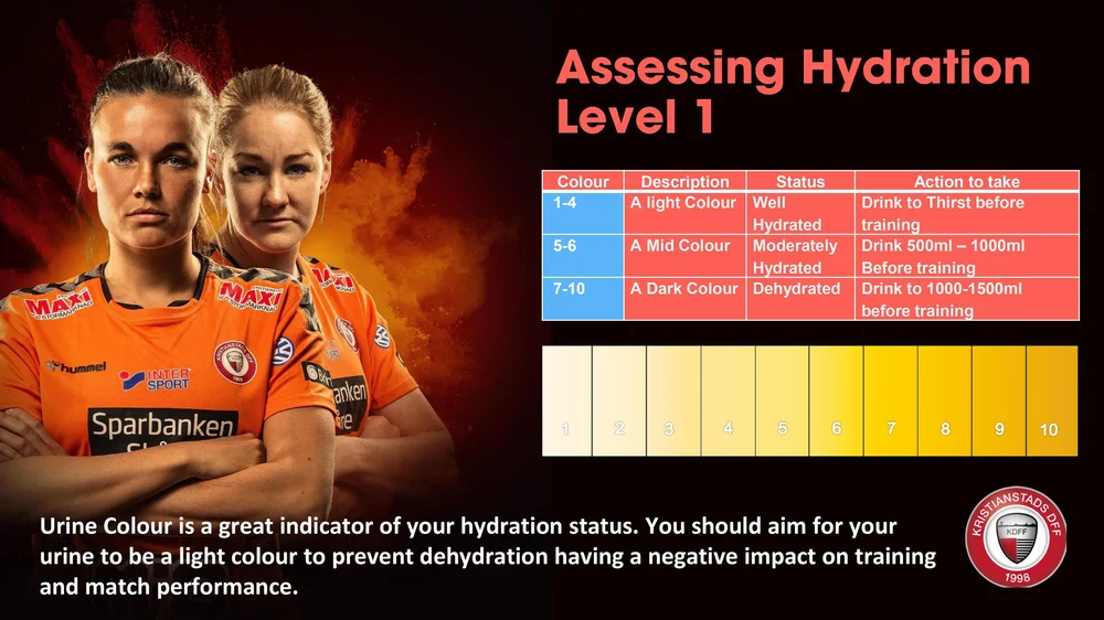 KDFF Away Guide 2021  English version_page-0004.jpg