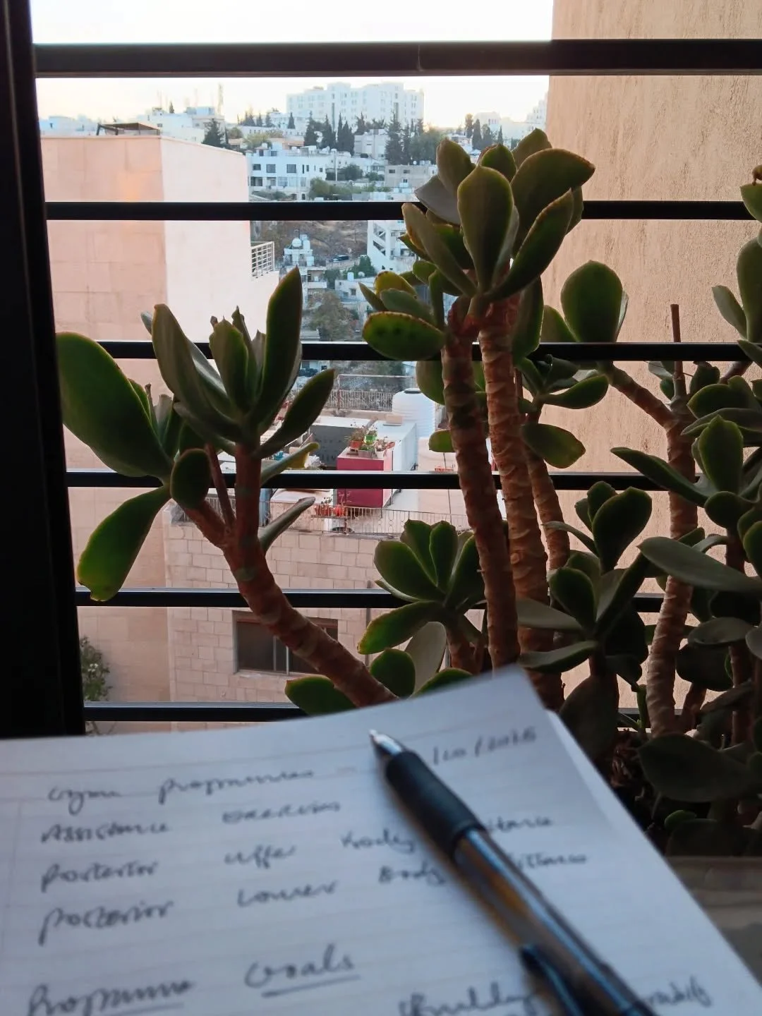 #downtownamman @lizziefluke