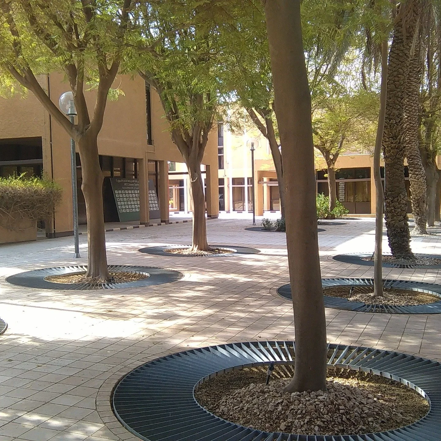 Riyadh Olympic Complex @lizziefluke