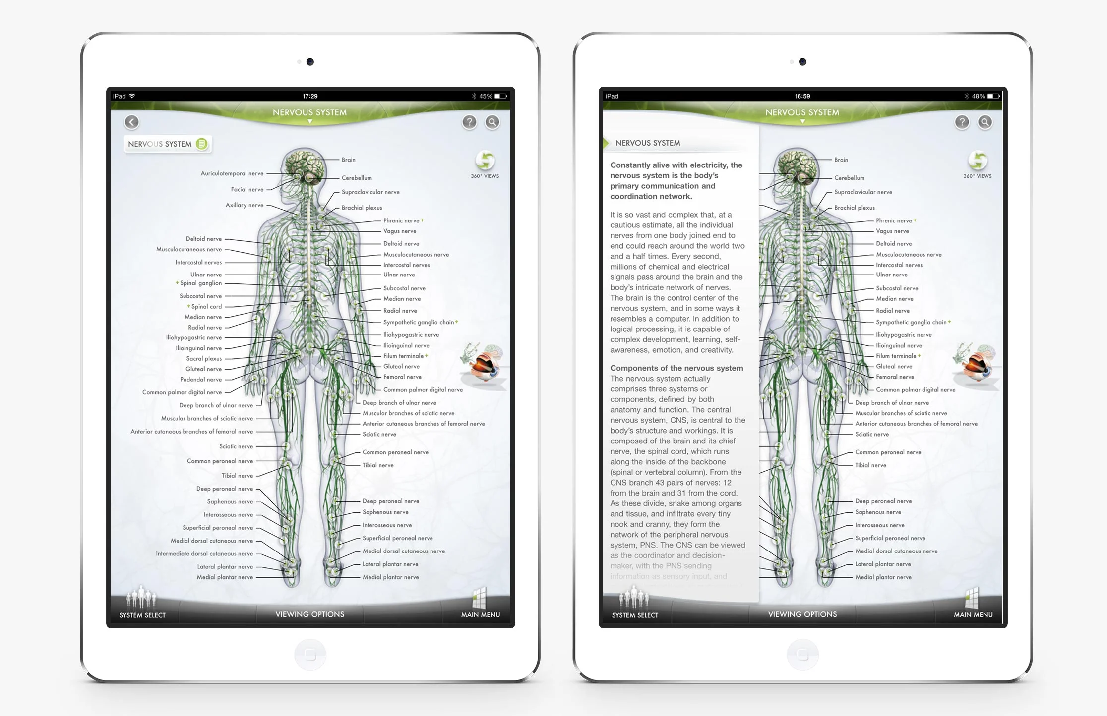 The-Human-Body-2.jpg
