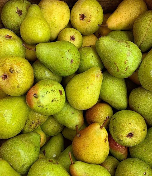 Excited to rotate some fresh juicy sweet pears into the upcoming fall mix!🍃🍂⁣
⁣
These lovely bright delights do much more than livening up a table setting. 🍽Check out a few of their many benefits!⁣
⁣
🍐A wonderful source of fiber to help keep that