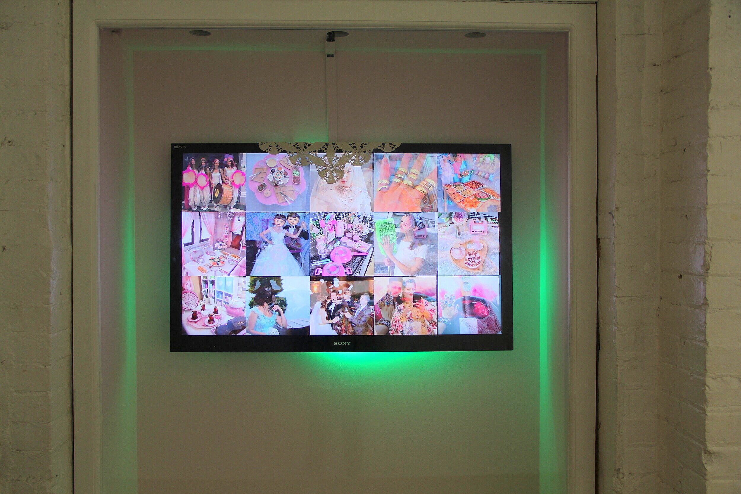 Reckless Reproduction 