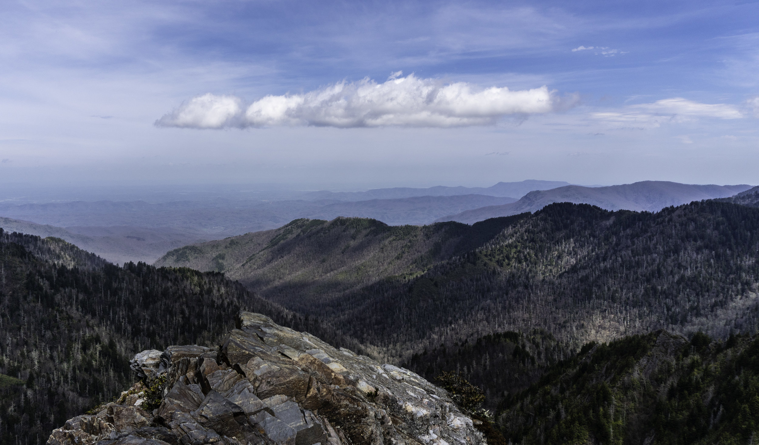  A sweet Charlies Bunion view 