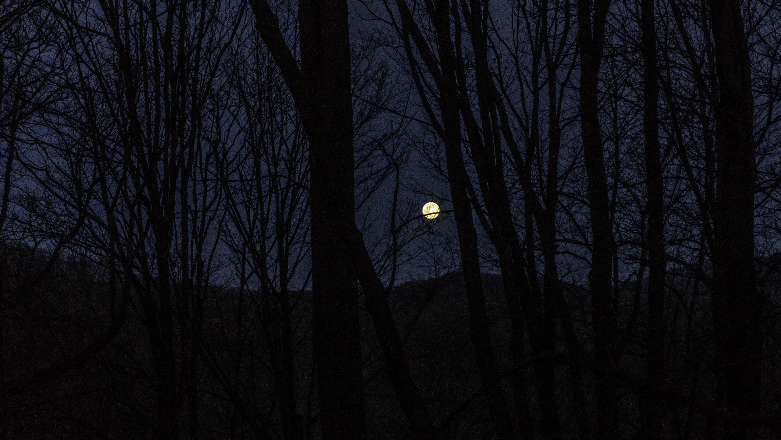  The moon over Apple Orchard camp 