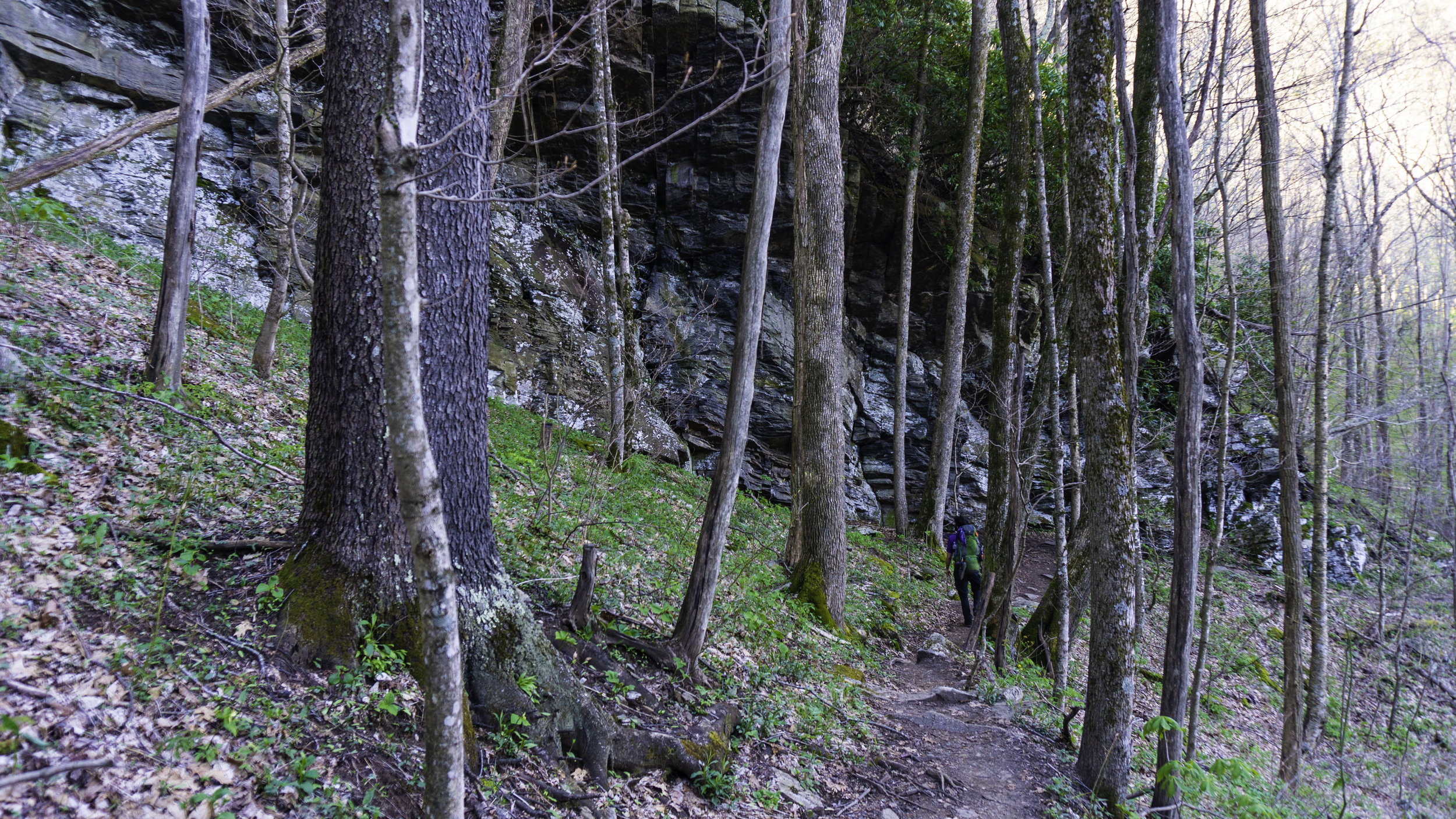  Hike to Little Hump Mountain 