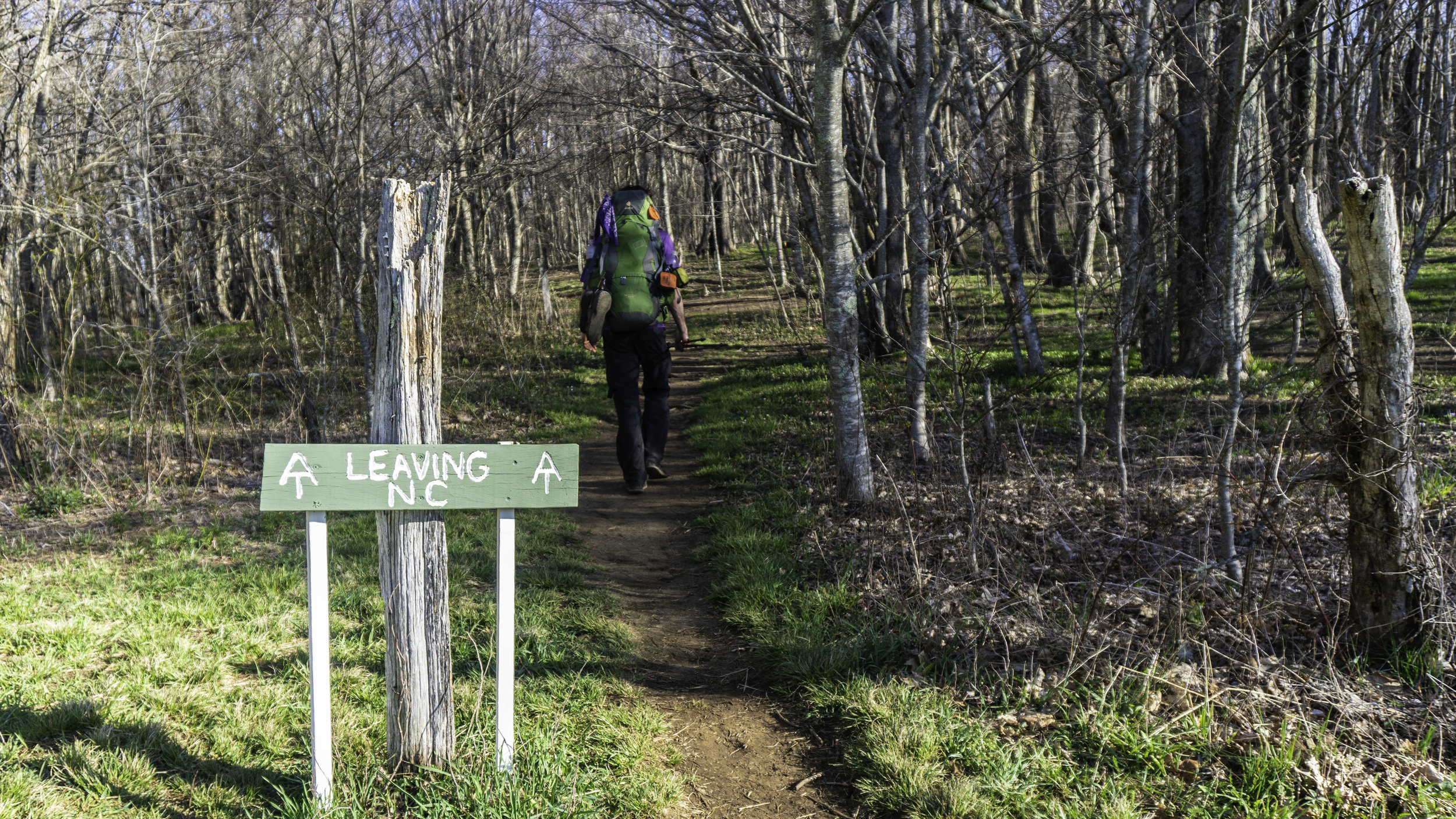  Only leaving NC for a brief section. The trail walks the TN-NC boarder. 