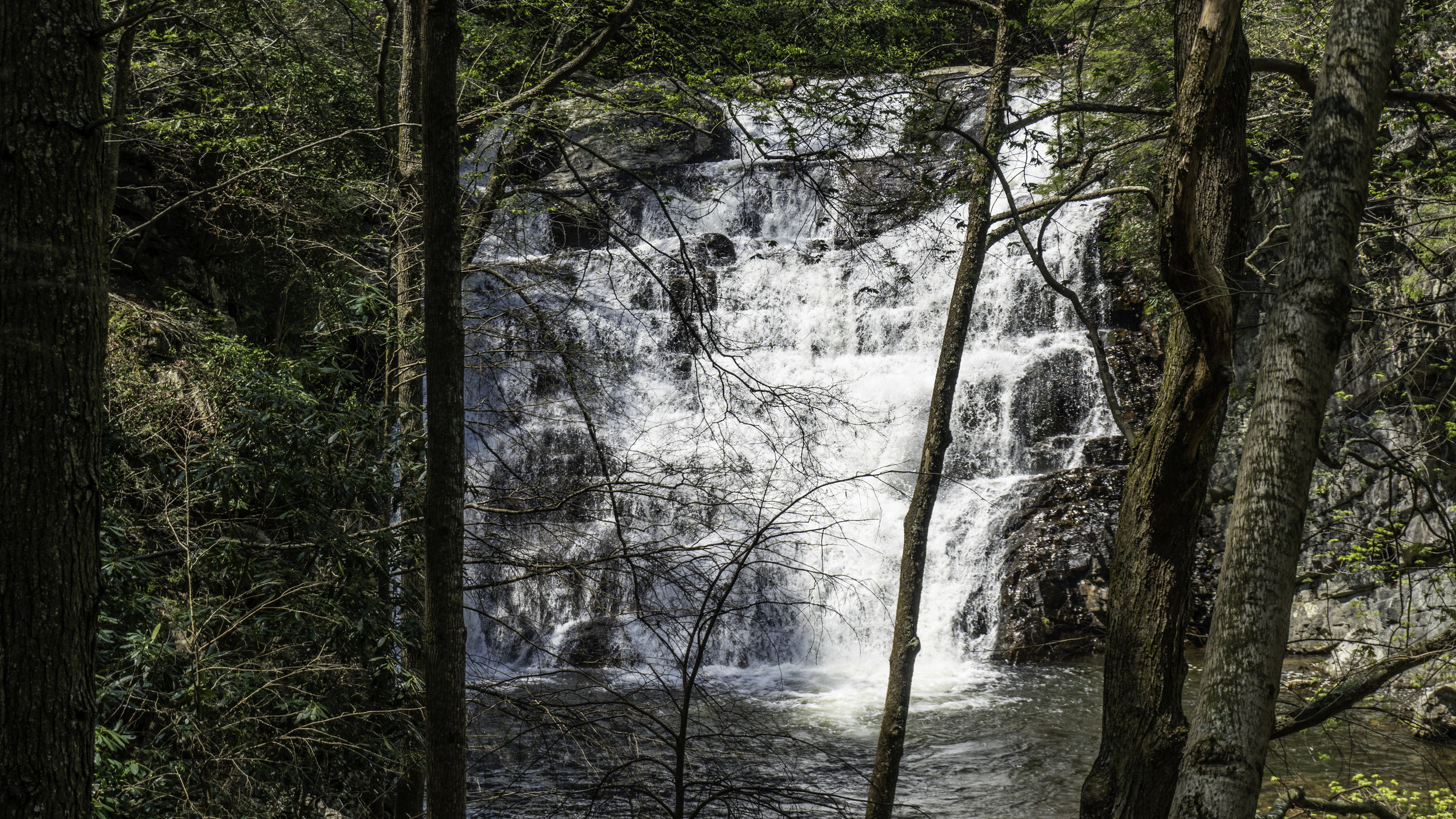  Falls in the Laurel Fork Gorge 