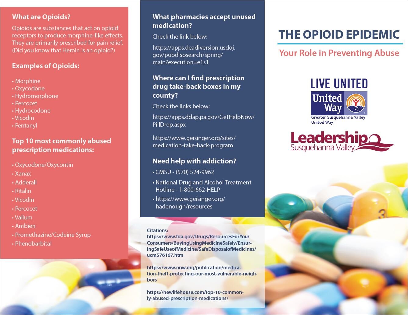 LSV_Brochure_Opioid_Page_1.jpg