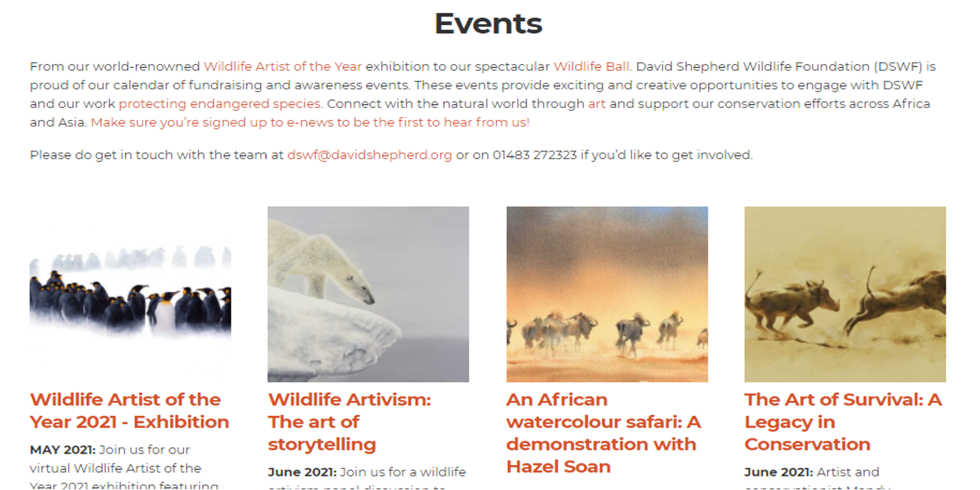 Website Example Page: Events