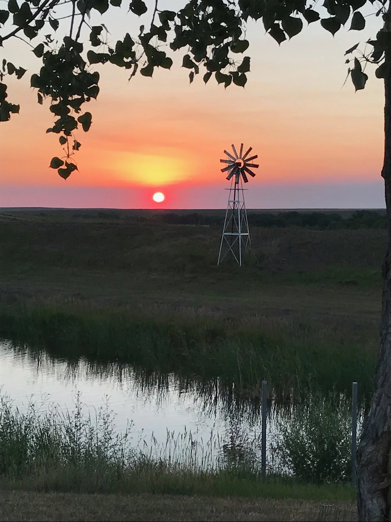 View from the pond at the ranch where veterans will build their new homes