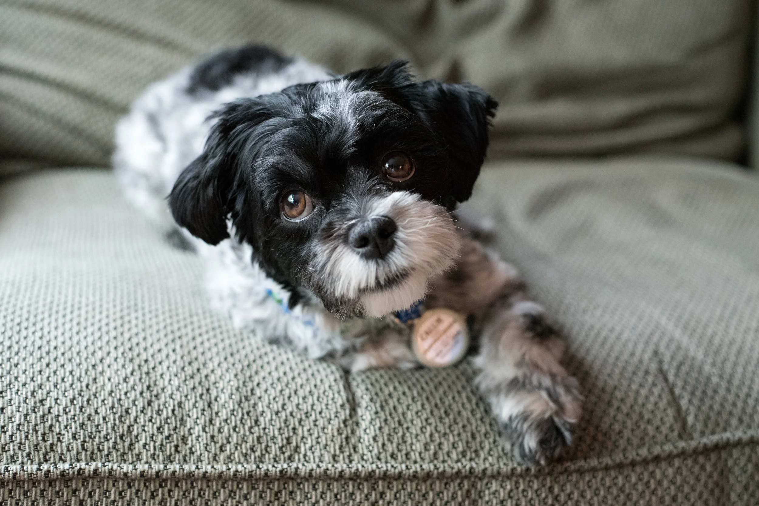 DSC_0911.jpg