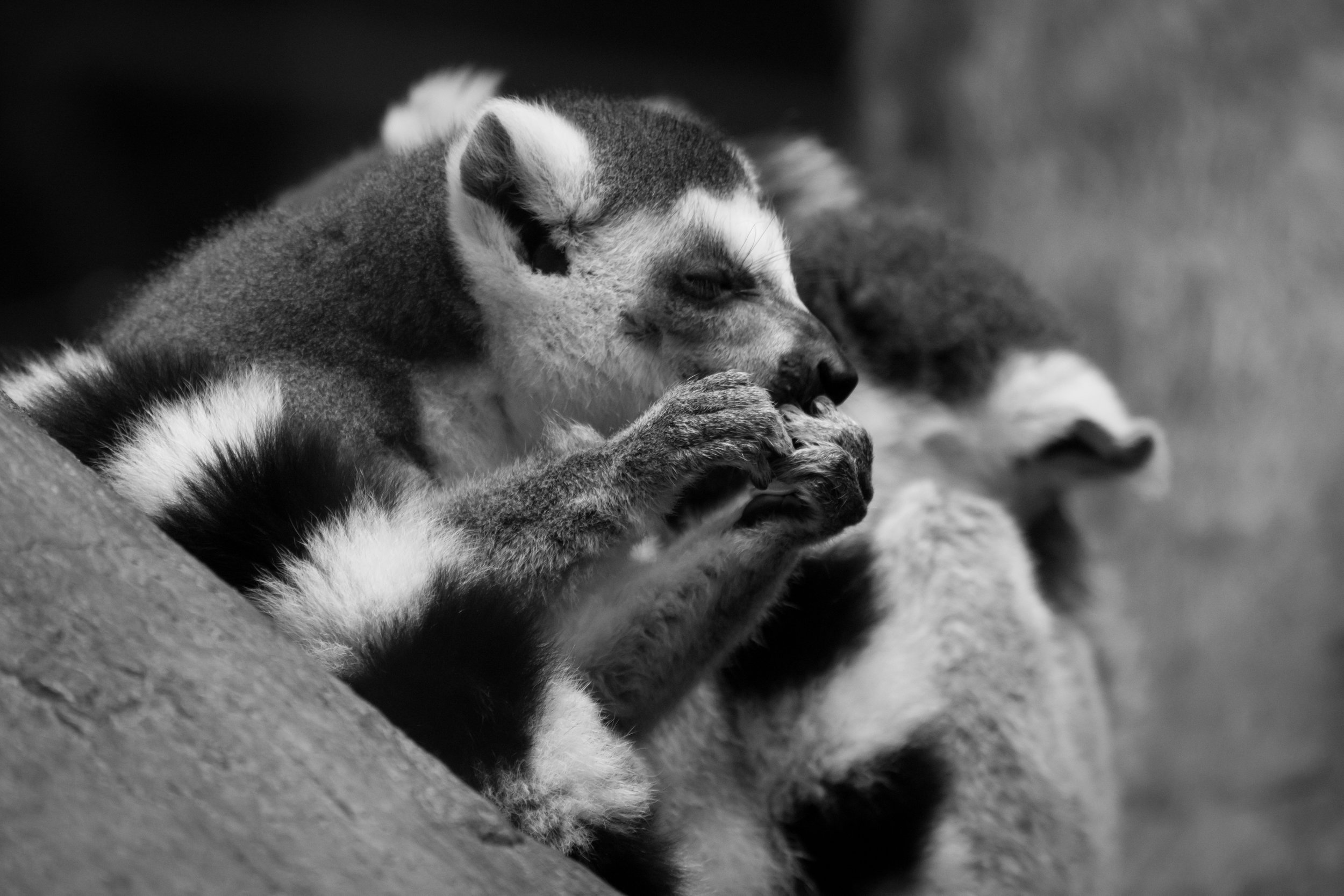 _DSC0922-JPEG.jpg