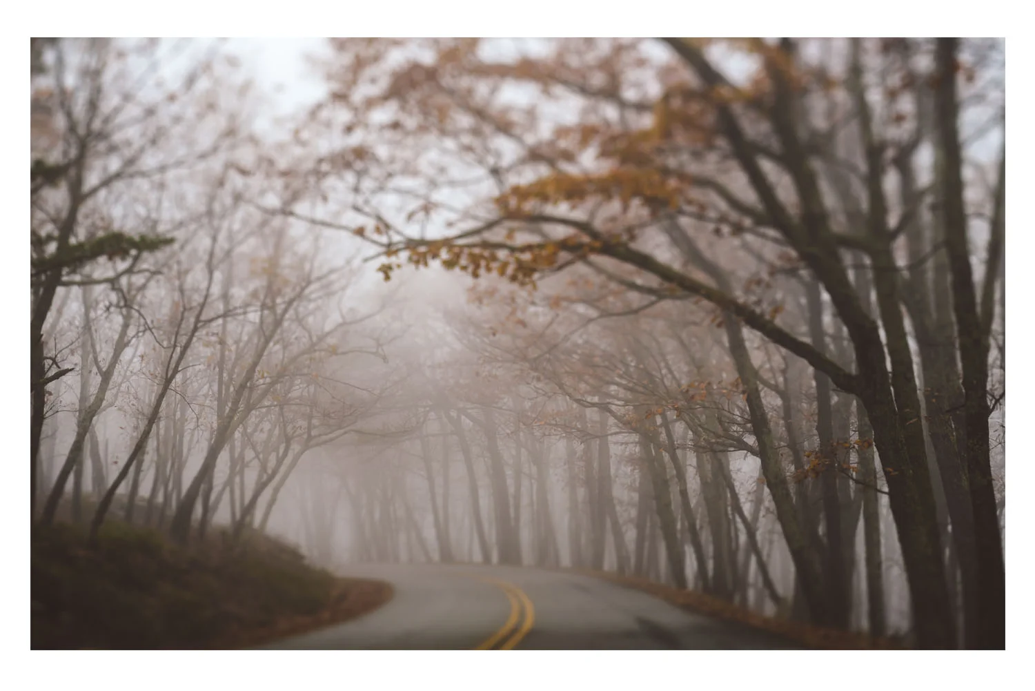 scenes from the car fall A.jpg