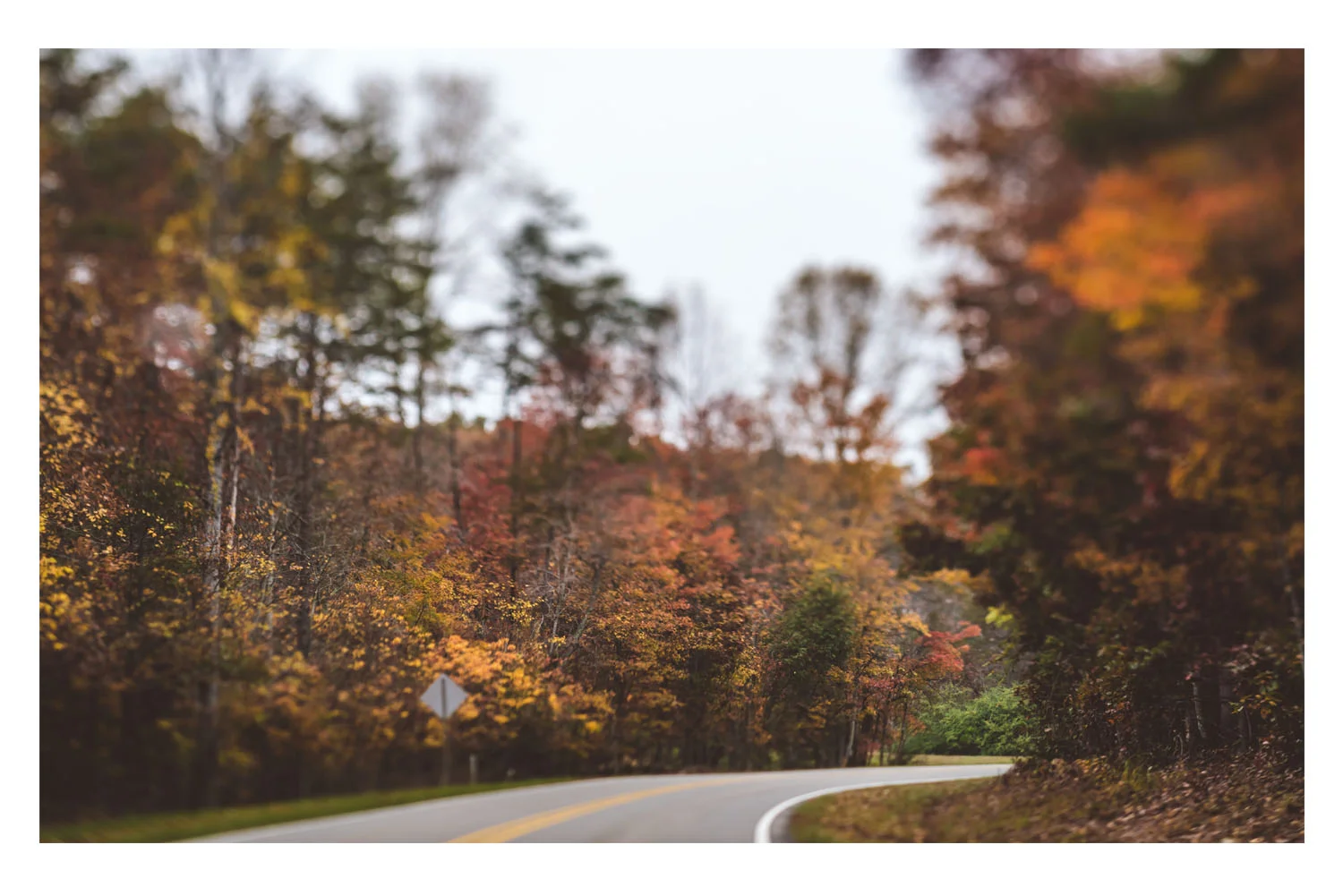 scenes from the car fall 1.jpg