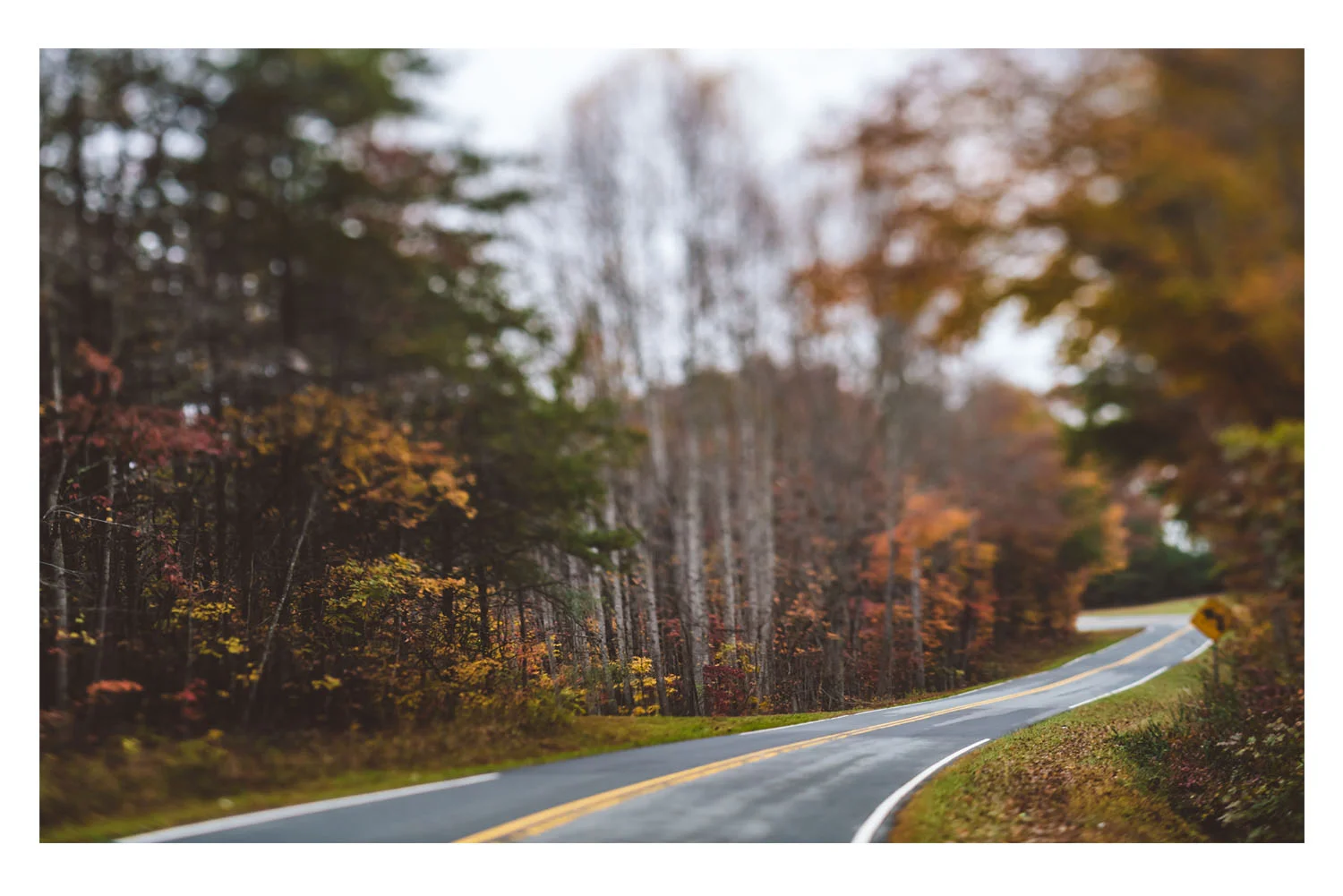 scenes from the car fall 4.jpg