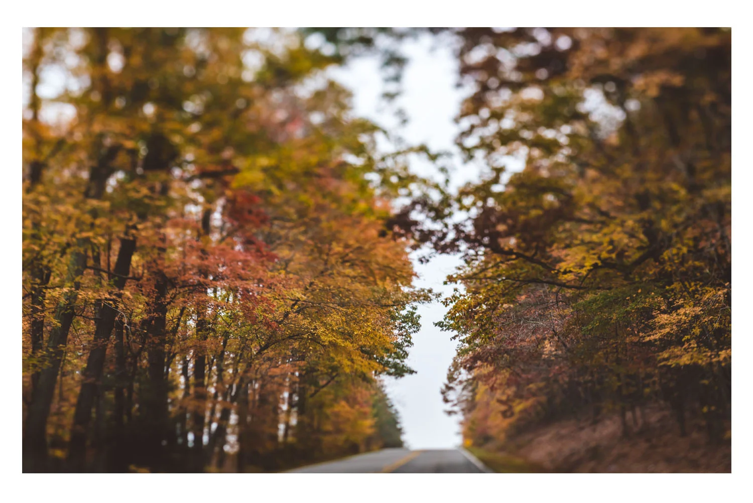scenes from the car fall 5.jpg