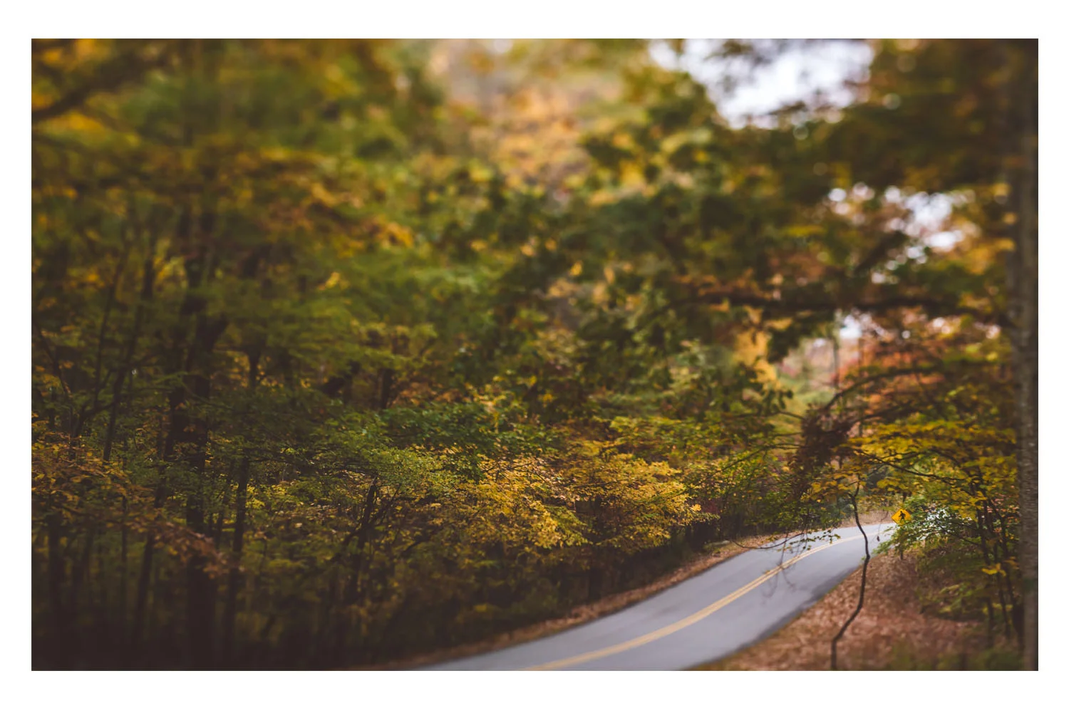 scenes from the car fall 6.jpg