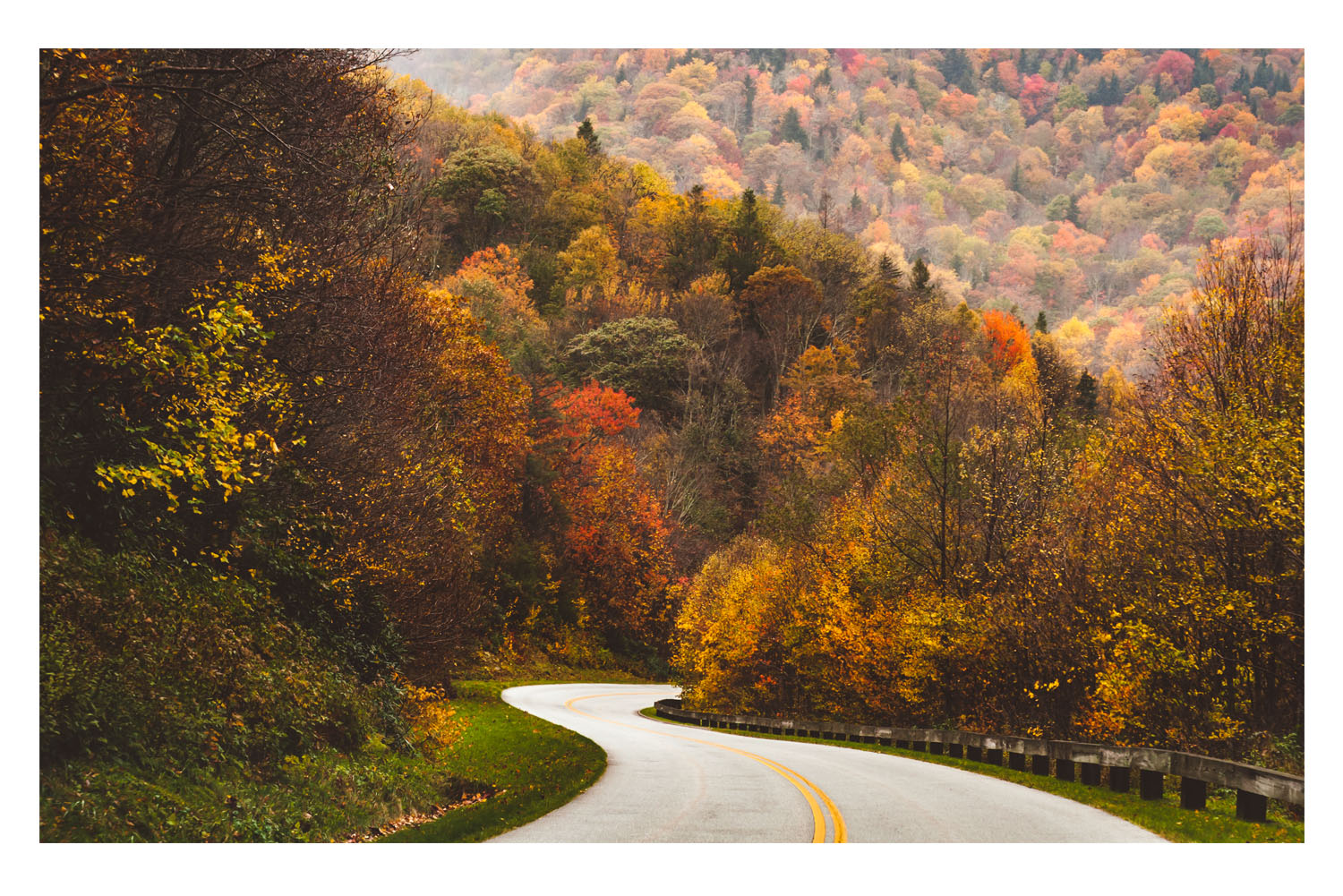 scenes from the car fall 8.jpg