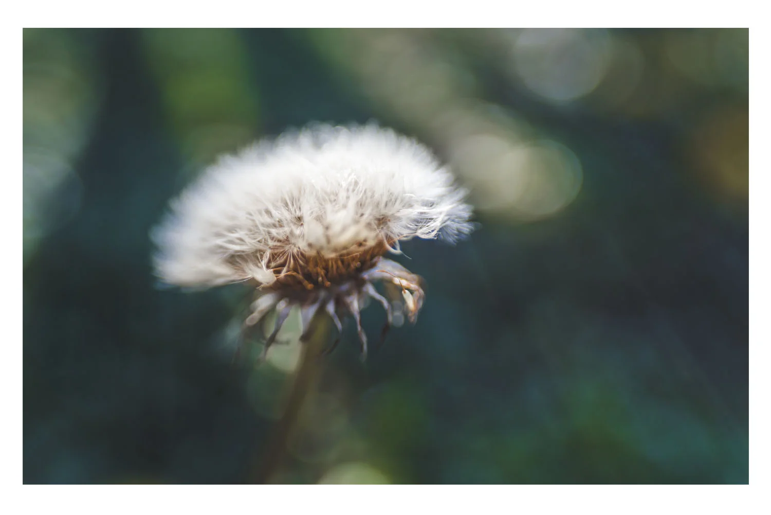 wishes in the ray of light.jpg