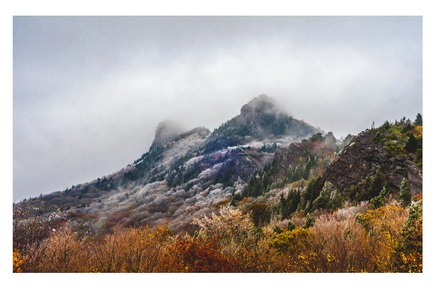 fall2009A.jpg