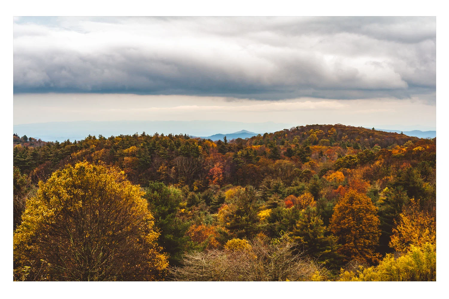 fall2009C.jpg