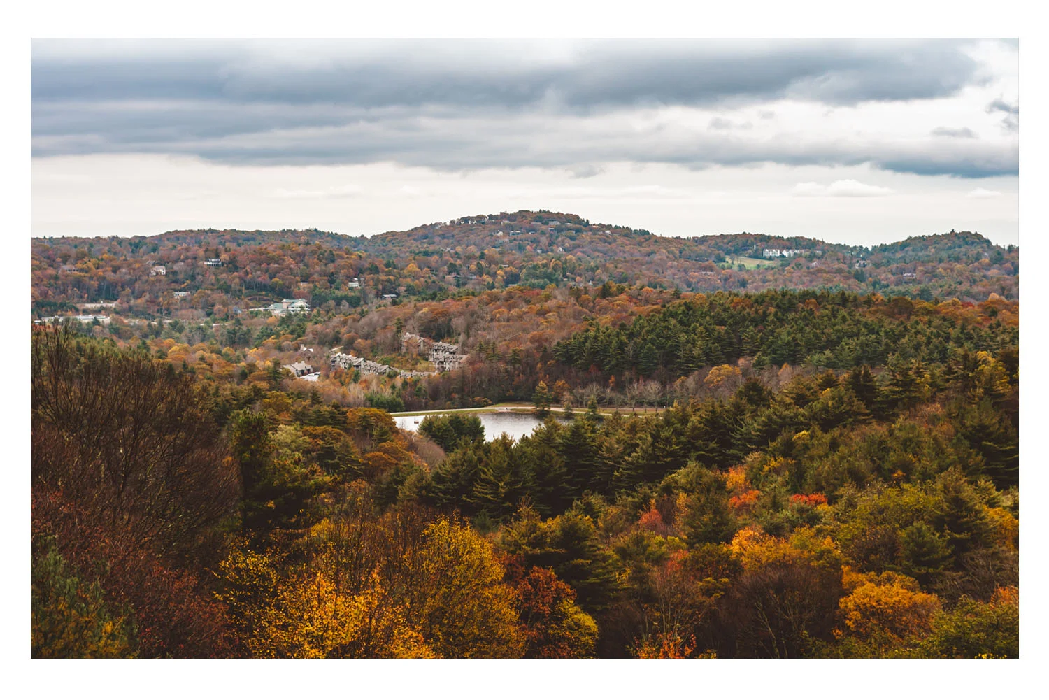 fall2009D.jpg