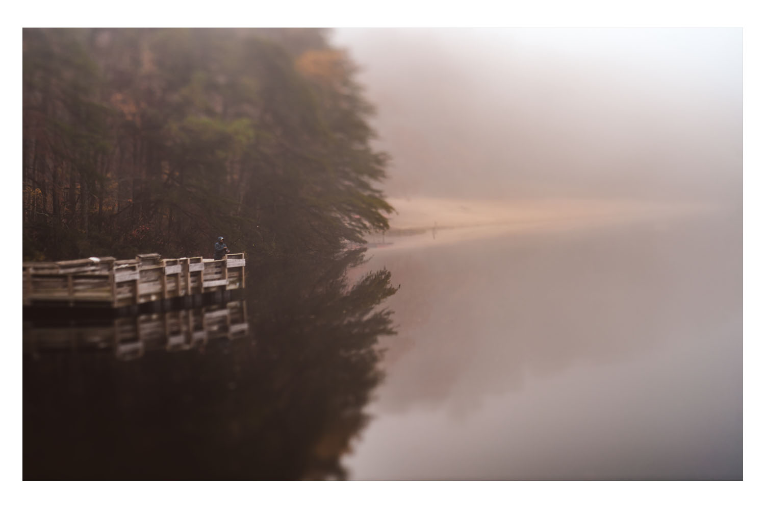 into the fog 6.jpg