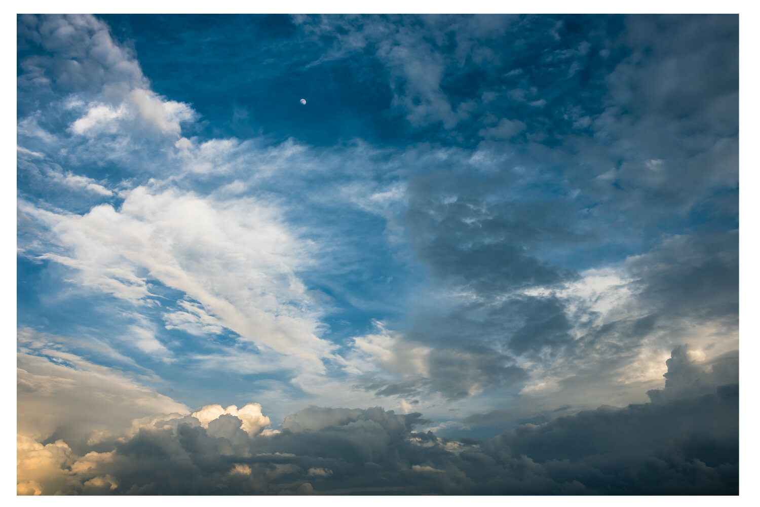 Fly Me To The Moon