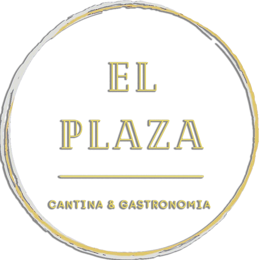 El Plaza Logo.png