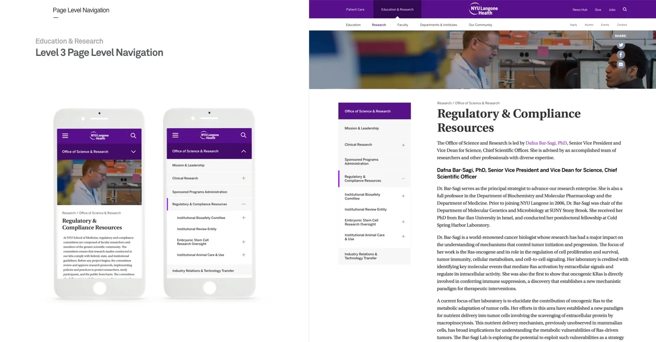 NYULangone_NavPres_Portfolio copy3.013.jpeg