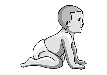 STNR Backward.jpg
