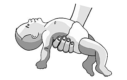 TLR Backward.jpg
