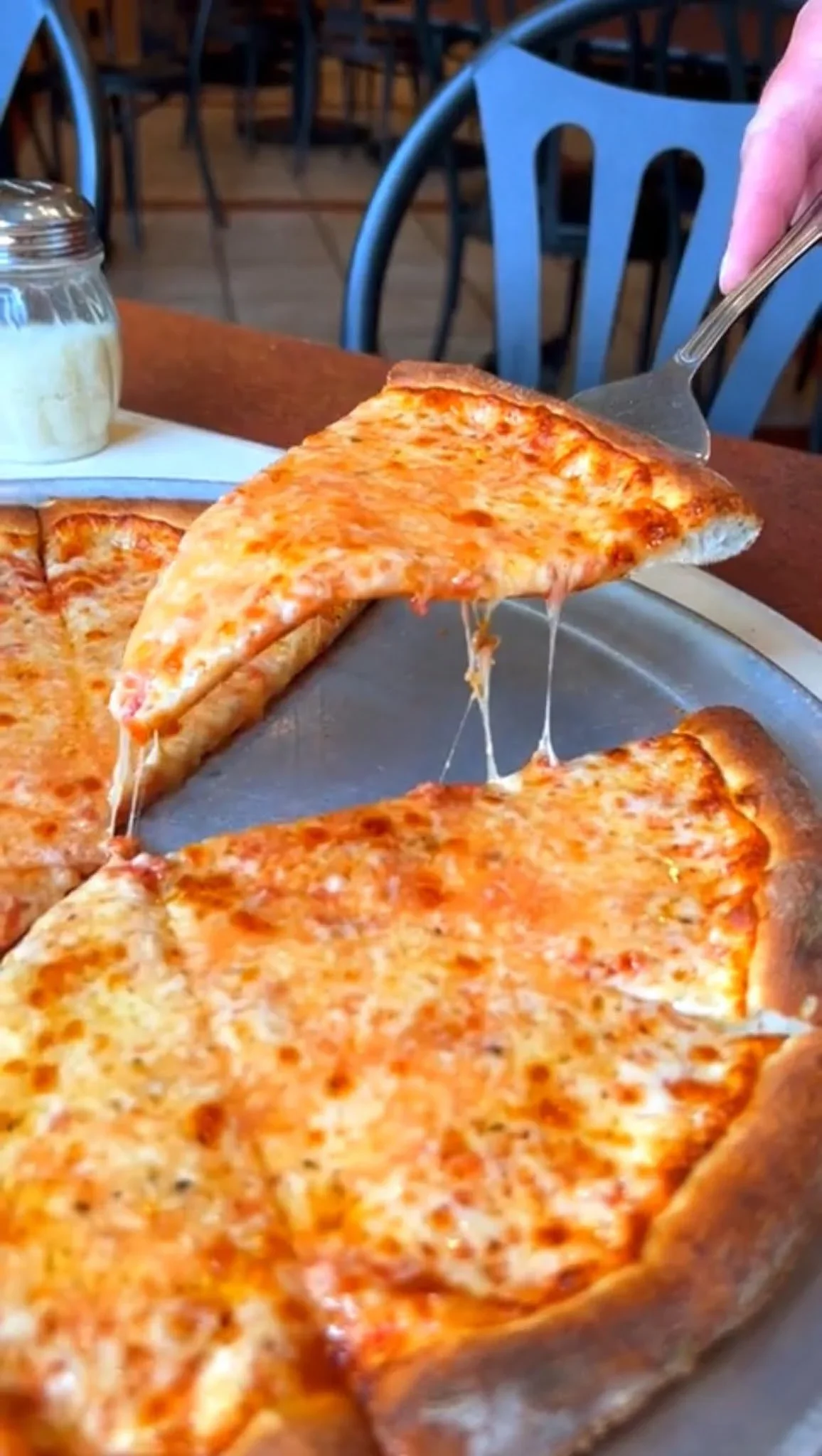 A server lifting a slice of plain cheese pizza with melted, stretchy cheese pull from an Amici’s pizza.
