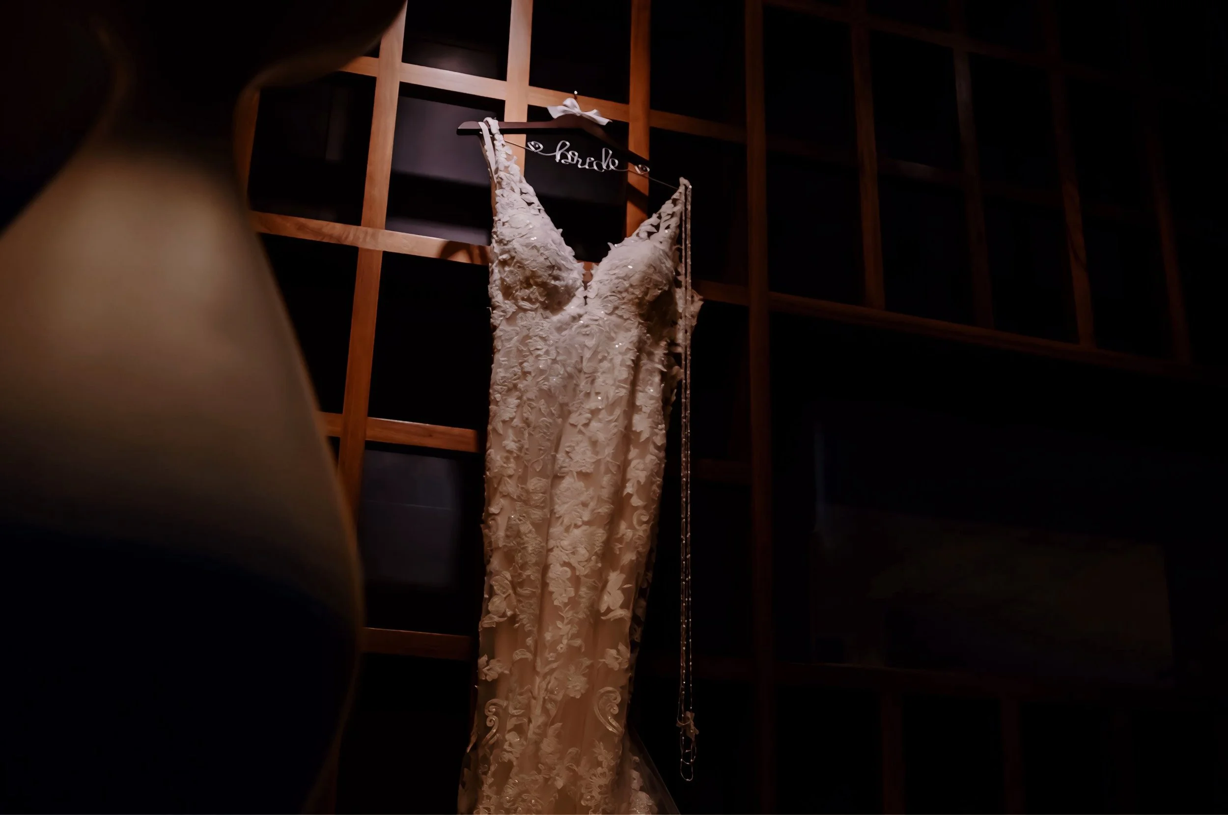 Omaha Wedding Photographer | Dark and Moody Bridal Gown 