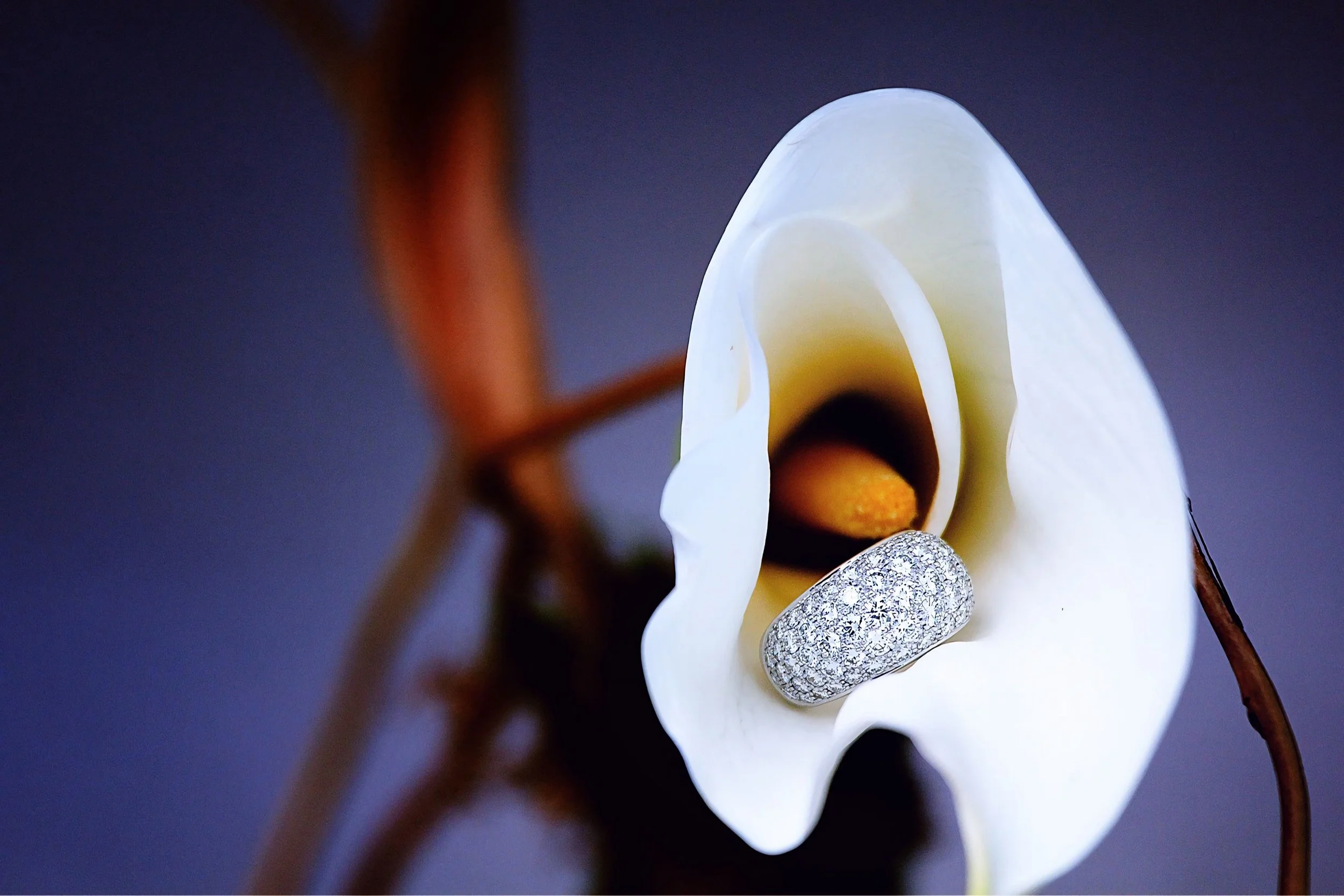 Omaha Wedding Photographer | Omaha Design Center | Wedding Ring 