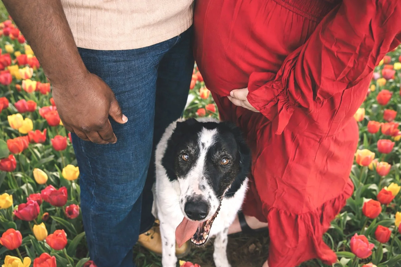 Creative Maternity Photography Omaha | Editorial Style Portrait