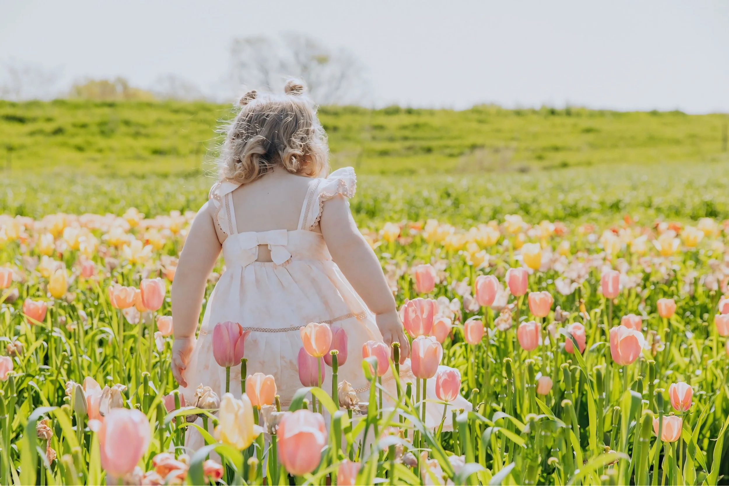 Omaha Mini Session Photographer – Tulip and Flower Field Mini Session –Family Photography – Reaction Photography