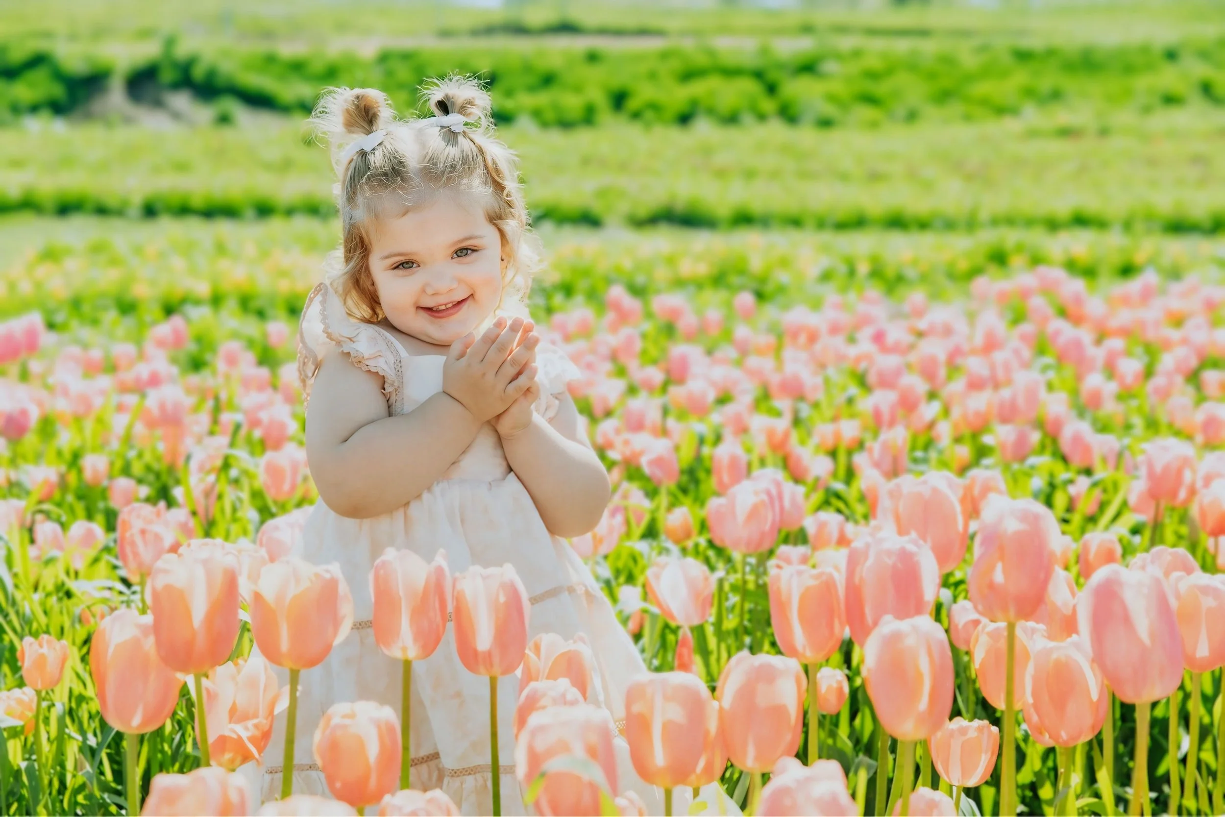 Omaha Mini Session Photographer – Nelson's Produce Farm-Tulip Field Spring Session – Family Photos – Reaction Photography