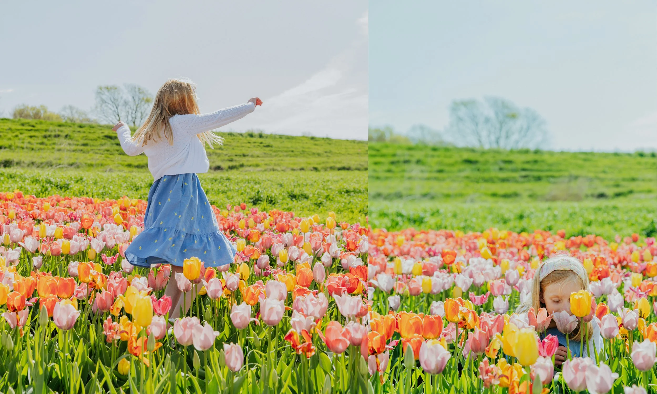 Omaha Mini Session Photographer – Nelson's Produce Farm Spring Session – Family Photos – Reaction Photography