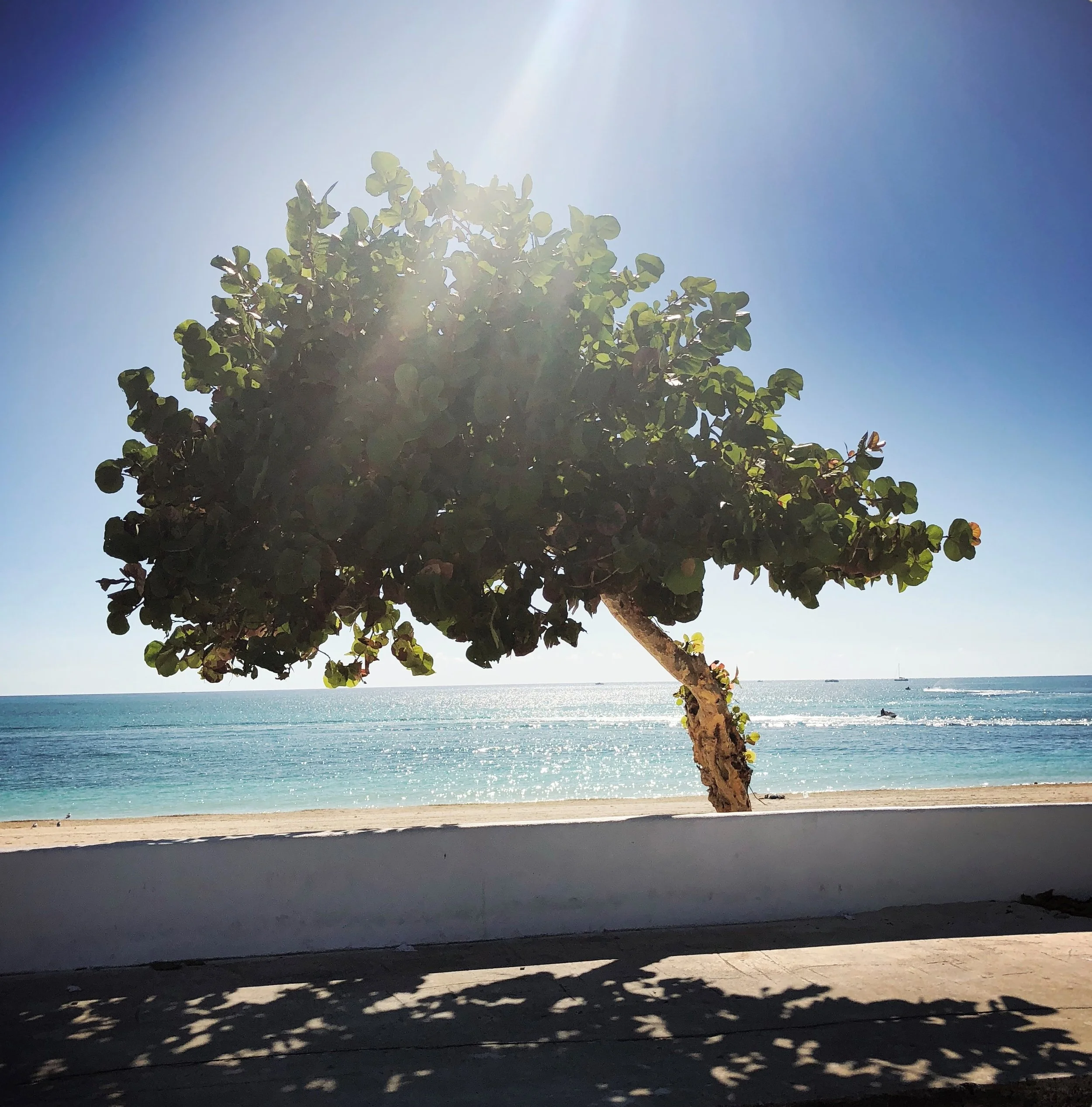 Open Air Places - Unique Vacation Rental Houses on Grand Bahama Island