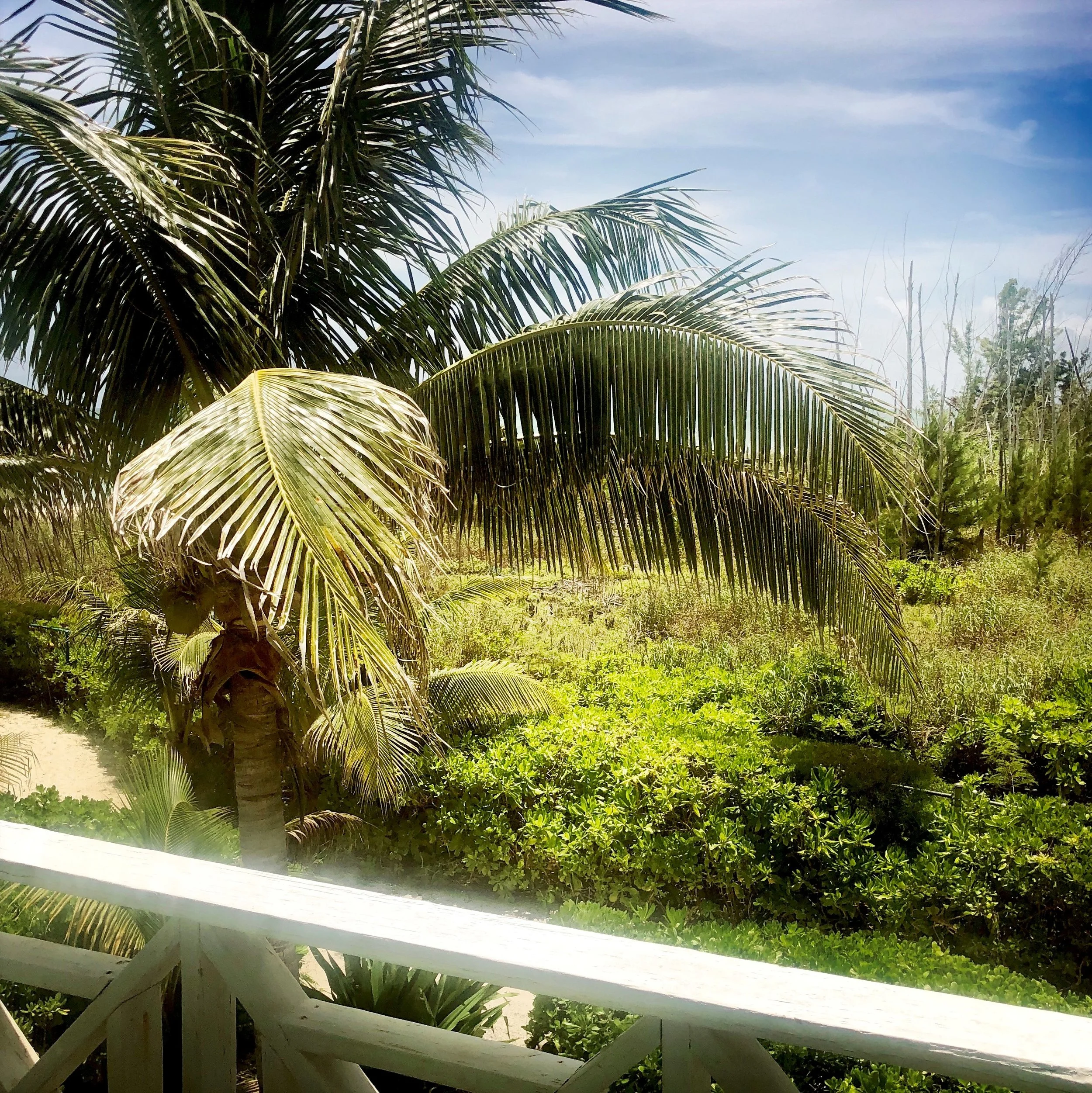Open Air Places - Key Lime Cottage at Diamonds by the Sea 56.jpg