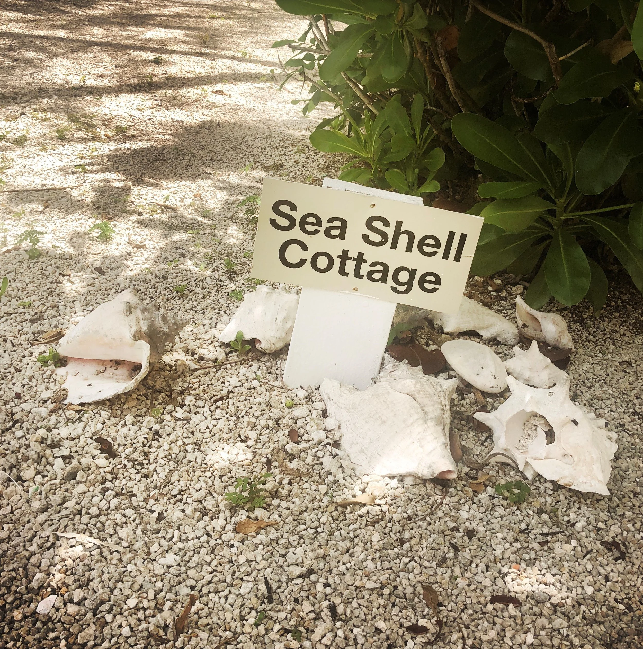 Open Air Places - Sea Shell Cottage at Diamonds by the Sea 18.jpg